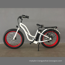 Fat Tire Electric Bike for Women 26inch/ 750W Ebike En15974 E-Bike